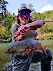 sava grayling slo